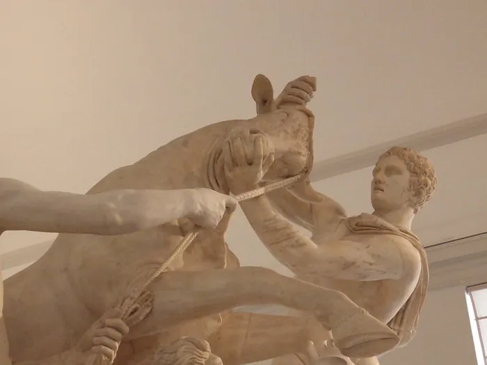Il Toro Farnese al Museo Archeologico